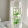 6 Pack | 18inch Heavy Duty Square Glass Cylinder Vases, Clear Glass Flower Vase
