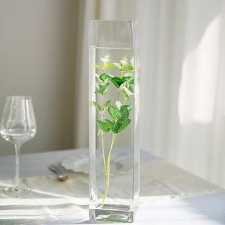 Stylish and Versatile Glass Vases for Every Occasion