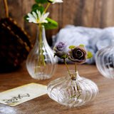 Set of 3 | Clear Glass Ribbed Design Mini Flower Bud Vases, Table Centerpiece Set - Assorted Sizes