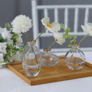 Sophisticated Clear Glass Flower Vases for Any Occasion