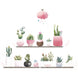 Succulent Potted Plants on Shelf Wall Decals, Peel & Stick Decor Stickers#whtbkgd