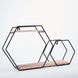  2-Tier Hexagon Floating Shelf, Dessert Display Stand With Black Double Geometric Design#whtbkgd