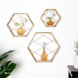 3 Pack Gold Geometric Floating Shelves, Wall Mounted Decorative Hexagonal Wall Shelf