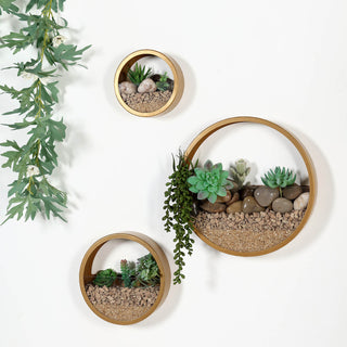 Create a Modern Indoor/Outdoor Terrarium with Our Set of 3 Gold Half Moon Wall Planters