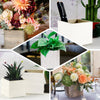 2 Pack | 6" Whitewash Square Unfinished Wooden Planter Box Set With Removable Plastic Liners