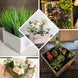 2 Pack | 9'' Natural Square Wood Planter Box Set With Removable Plastic Liners