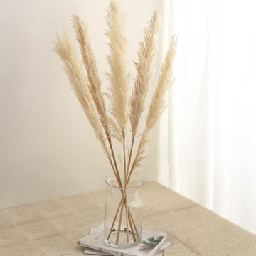 6 Stems 49" Wheat Tint Dried Natural Pampas Grass Plant Sprays