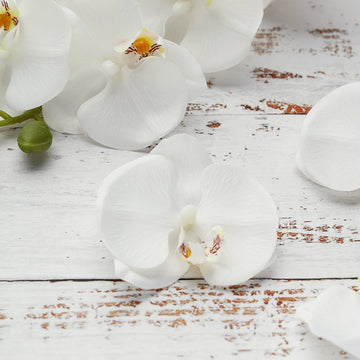 20 Flower Heads | 4" White Artificial Silk Orchids DIY Crafts