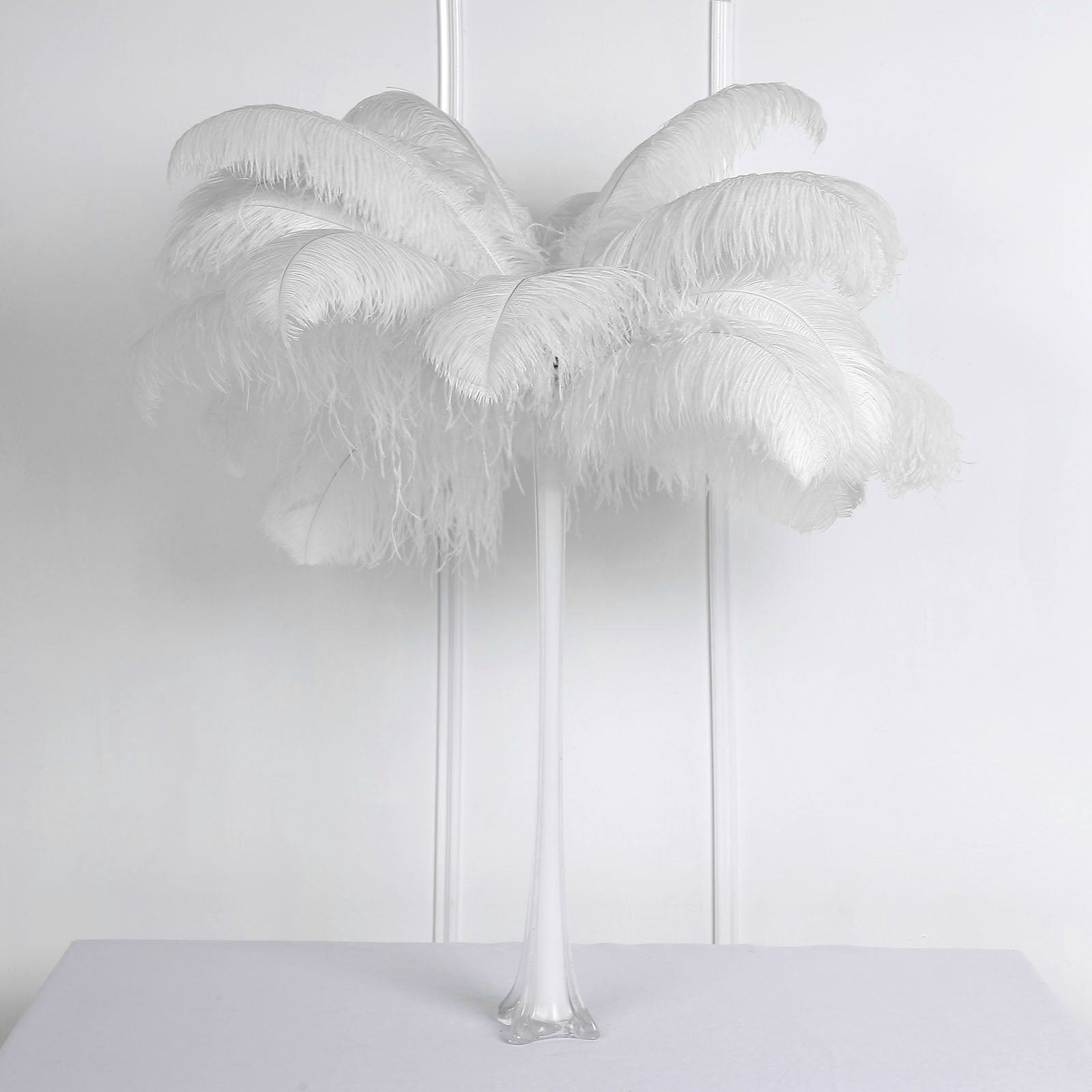 COMING SOON! White Ostrich Feathers 23 - 26 - SPADS