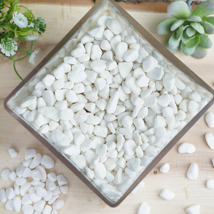 Pack of 2 Lbs | White Decorative Crushed Gravel | Pebble Stone Vase Fillers