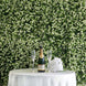 11 Sq ft. | White Tip Green Boxwood Hedge Genlisea Garden Wall Backdrop Mat