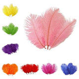 12 Pack | 13-15inch Fuchsia Natural Plume Real Ostrich Feathers, DIY Centerpiece Fillers