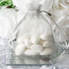 10 Pack | 3inch Silver Organza Drawstring Wedding Party Favor Gift Bags