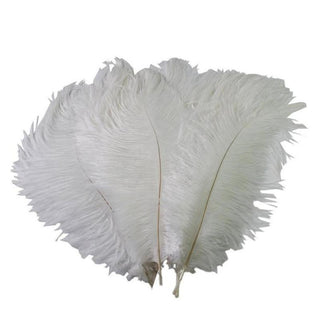 Why Choose Ostrich Feathers for Your Event Decor